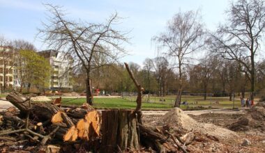 Mutmaßlicher Obdachloser tot in Berliner Park entdeckt – Mordkommission ermittelt