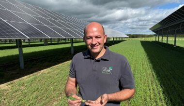 Landwirt stellt riesige PV-Anlage auf seinen Acker und macht überraschende Erfahrungen