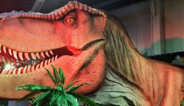 Zu sehen ist ein nachgebauter lebensgroßer T-Rex-Kopf.