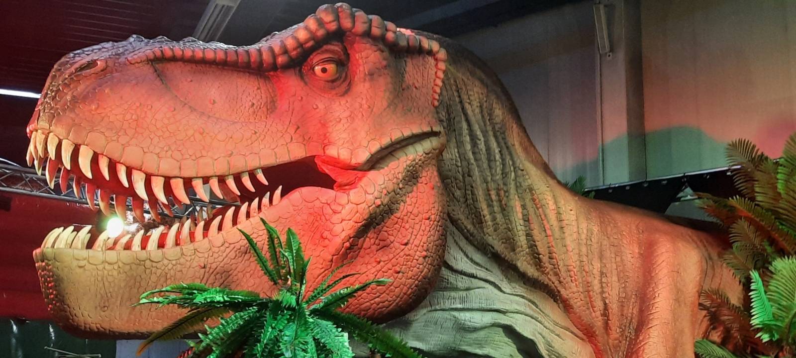 Zu sehen ist ein nachgebauter lebensgroßer T-Rex-Kopf.