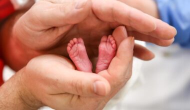 Zum Welt-Frühgeborenen-Tag wird in Neuburg die Schrannenhalle beleuchtet