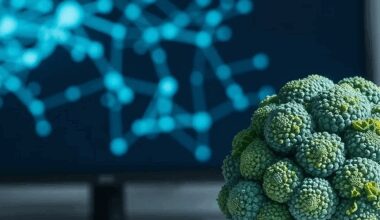 Brokkoli gegen Alzheimer: Wirkstoff schützt Gehirnzellen