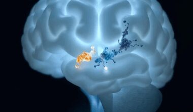 Bluttests revolutionieren Diagnose – doch Therapie bleibt komplex