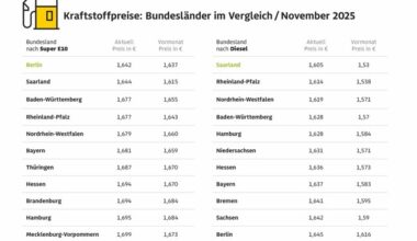 Autofahrer zahlen in Bremen und Brandenburg beim Tanken am meisten / Spritpreise in ...