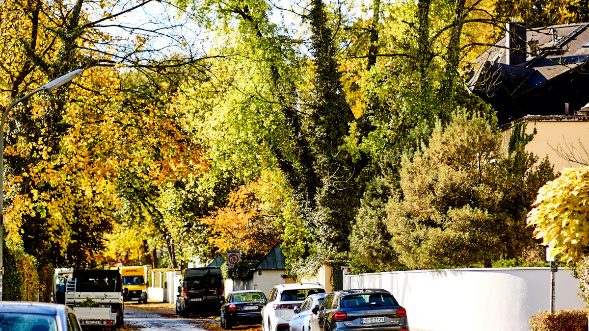 München: Neue Baumschutzverordnung stärkt Schutz für Bäume - München