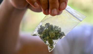 Mannheim: Polizist schob Unschuldigem Drogen unter | News