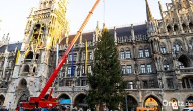 Tiroler Christbaum ziert Münchens Marienplatz