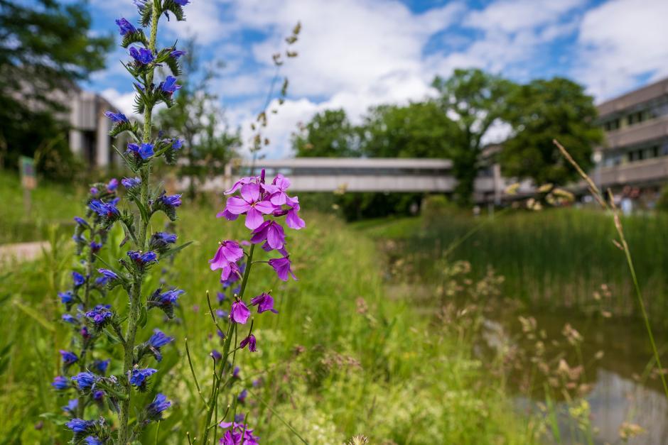 Nachhaltigkeit mit System