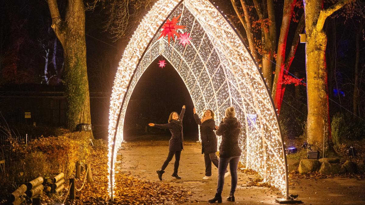 Öffnungszeiten, Programm und weitere Infos