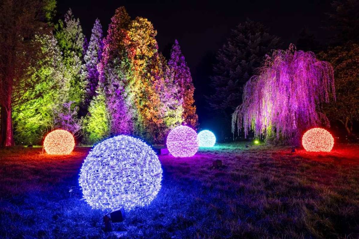 Weihnachten im Tierpark