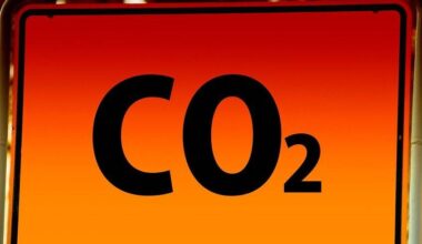 Alfter: Klimarat will Alfter nach vorne bringen