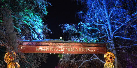 cropped-1764004944-dsc_3403