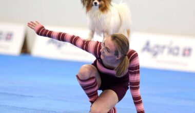 Dortmund | Wenn Hunde tanzen - Meisterschaft in Dog Dancing gestartet