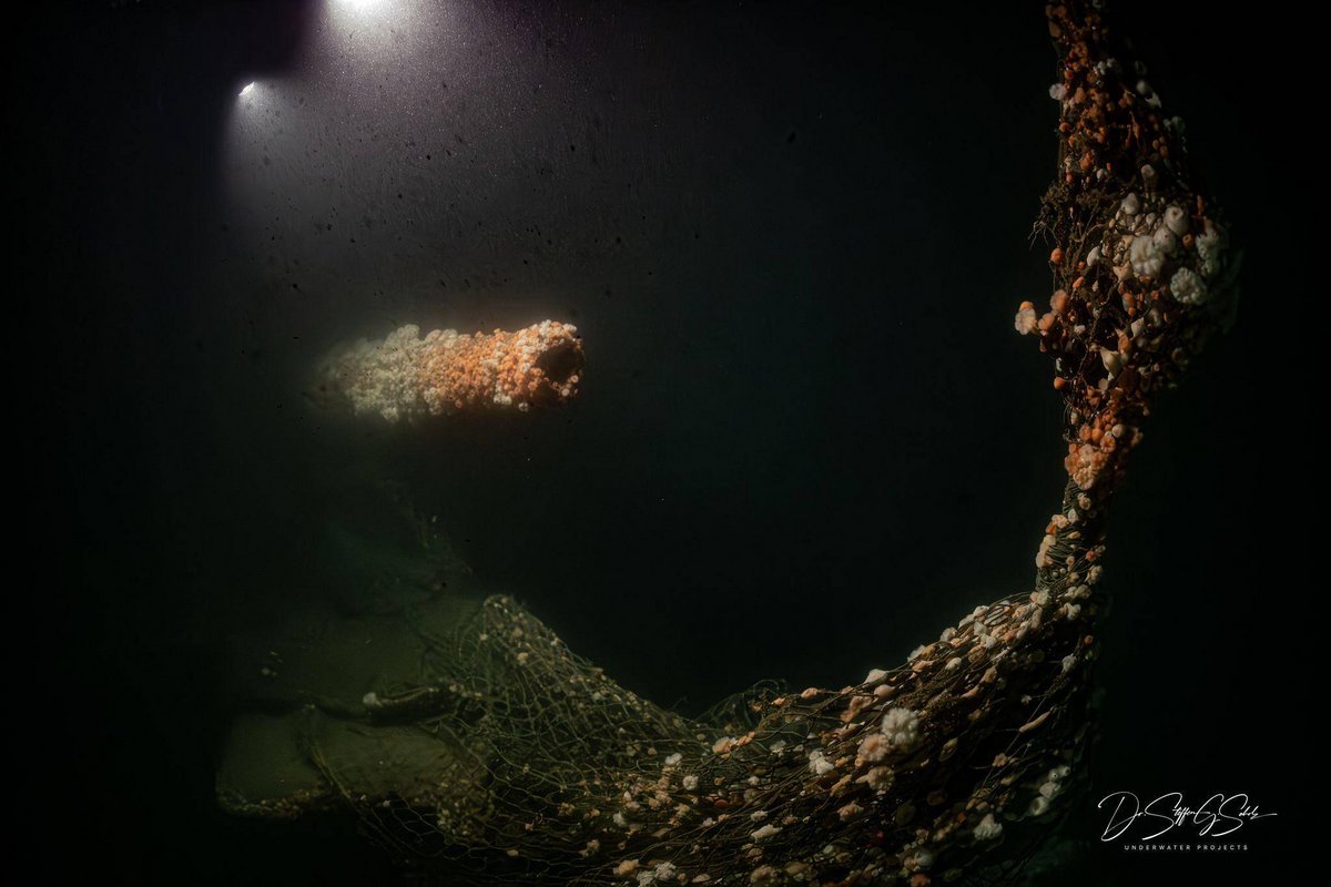 London | Von deutschem U-Boot versenkt: Forscher tauchen zu Wrack