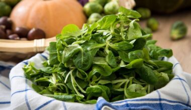 Bonn | Feldsalat nicht unter fließendem Wasser abspülen