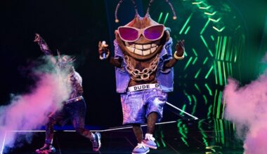 Köln | US-Musiker bei «The Masked Singer» ausgeschieden