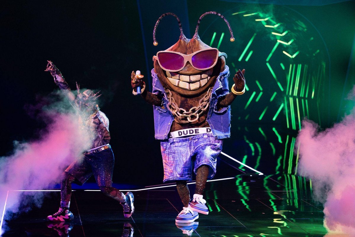 Köln | US-Musiker bei «The Masked Singer» ausgeschieden