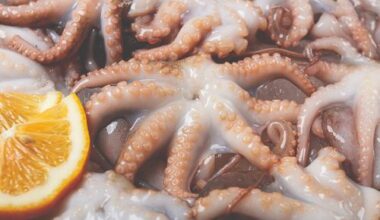 Kebab - Tentakel am Spieß sorgt in Karlsruhe für Wirbel: Tageskarte