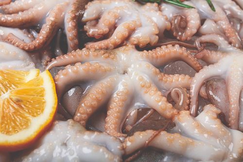 Kebab - Tentakel am Spieß sorgt in Karlsruhe für Wirbel: Tageskarte