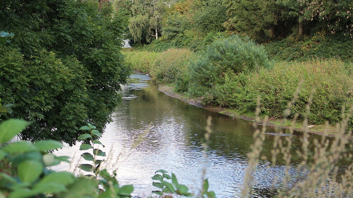 Herford: Startschuss für Umgestaltung der Werregärten