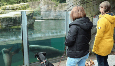 Hunde dürfen erstmals am Wochenende mit rein!
