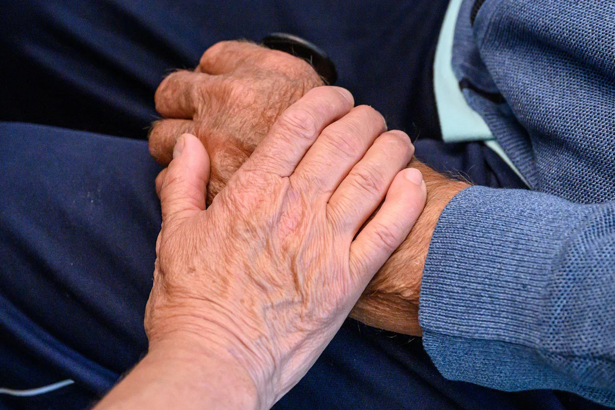 Freiwilliges Engagement - Berliner Ehrenamtliche bekommen heute freie Eintritte - Gesellschaft