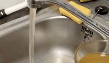 In diesen unfassbaren Zuständen schuften unsere Polizisten | Regional