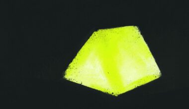 a3kultur Nachricht | Das gelbe Zelt