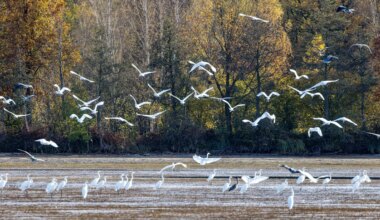 Wetteraussichten - Wechselhaftes Wetter in Berlin und Brandenburg erwartet - Panorama