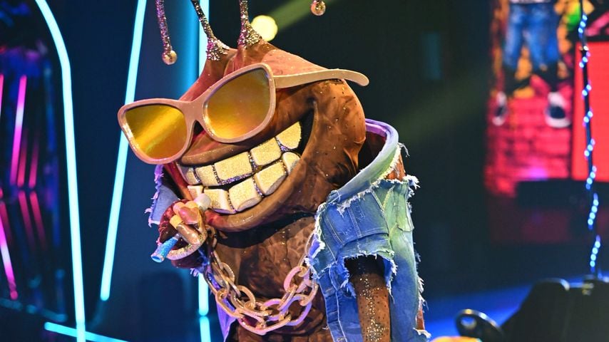Der Dude bei "The Masked Singer"