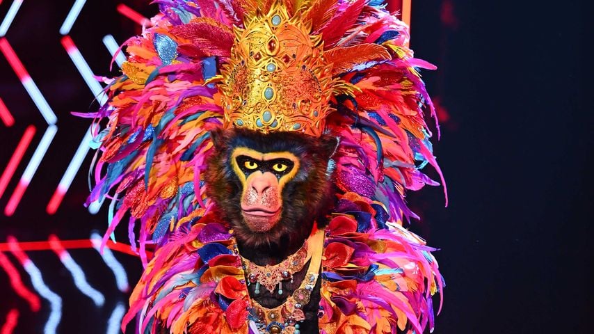 Der Gorilla bei "The Masked Singer" 2025