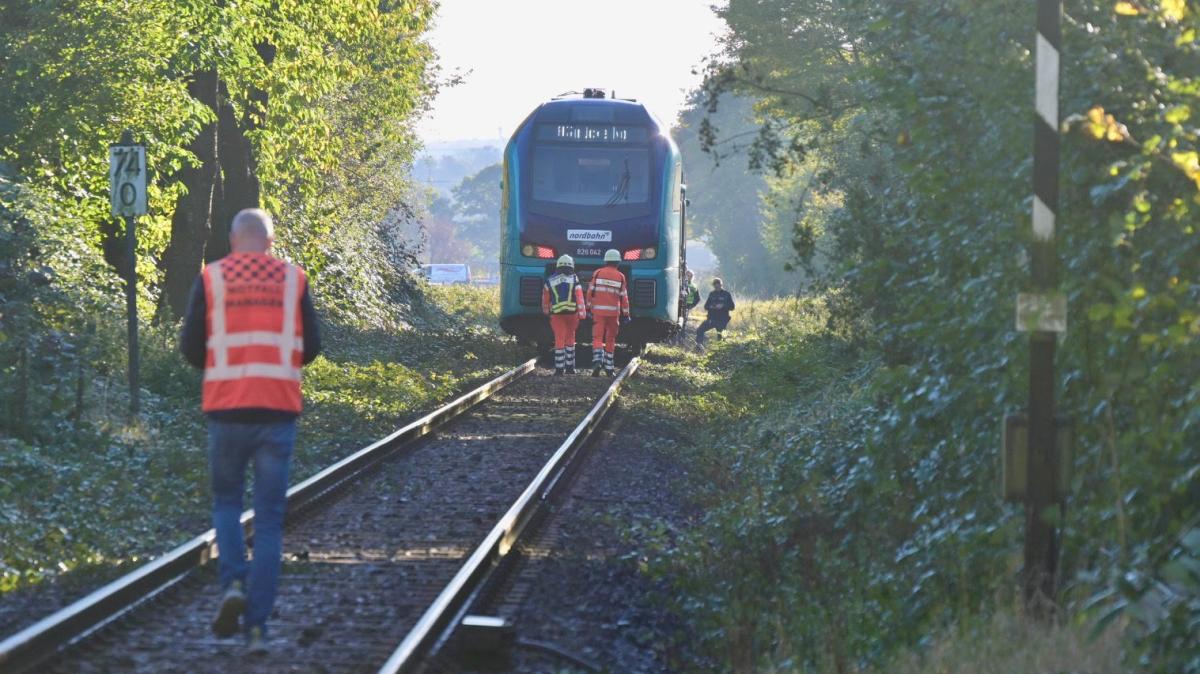 Bahnchaos zwischen Hamburg und Lübeck: Weiche und Signal defekt