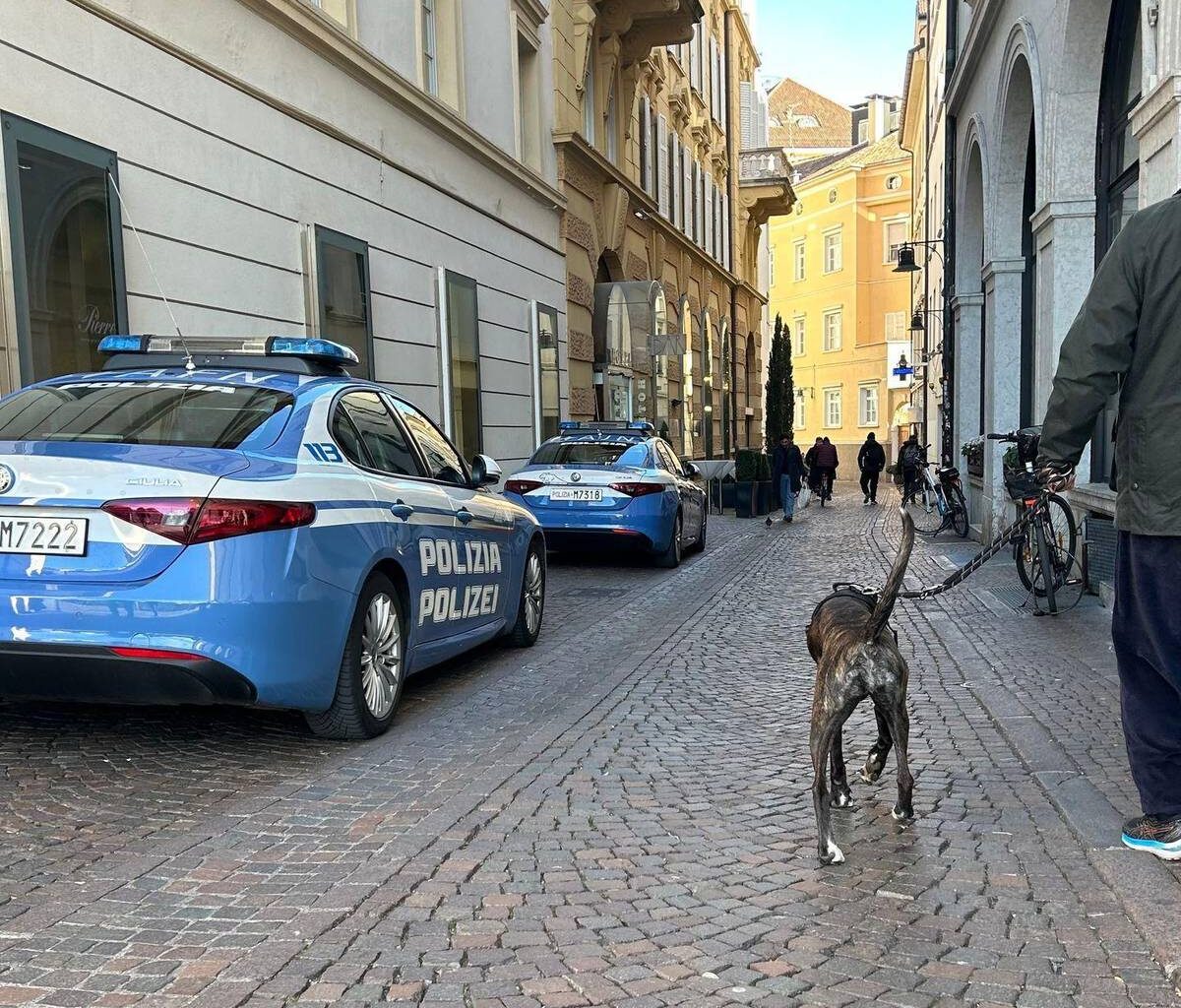 Südtirol gibt Pläne für «Hunde-Taxe» von Urlaubern auf