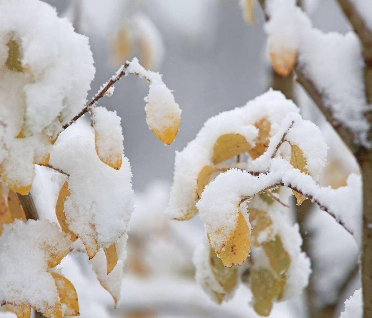 Mancherorts wird's weiß - Temperaturen sinken