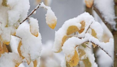 Mancherorts wird's weiß - Temperaturen sinken