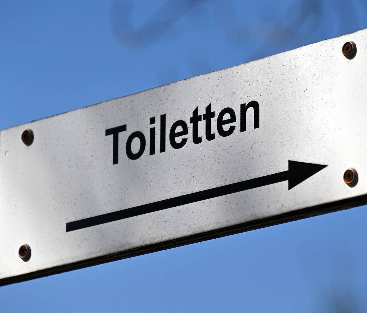 Donnerbalken und Luxus-Klo: Die Toilette im Wandel der Zeit