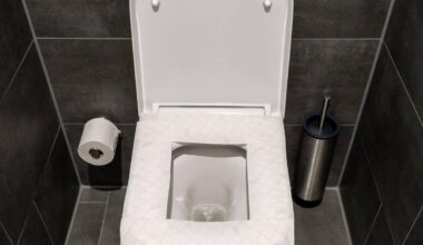 Papier auf die Brille? Hygiene-Tipps für öffentliche Klos