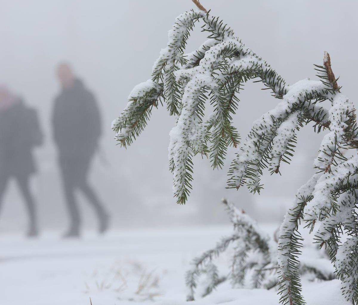 Neuschnee, Frost und Glätte zur Wochenmitte