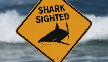 Bullenhai greift Schweizer Paar an – filmte GoPro das Drama?