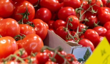 Inflation hartnäckig bei 2,3 Prozent