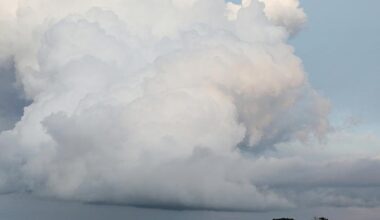 via dts Nachrichtenagentur