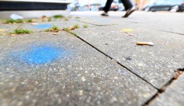 Umweltschutz in München: Das Rätsel der blauen Punkte - München