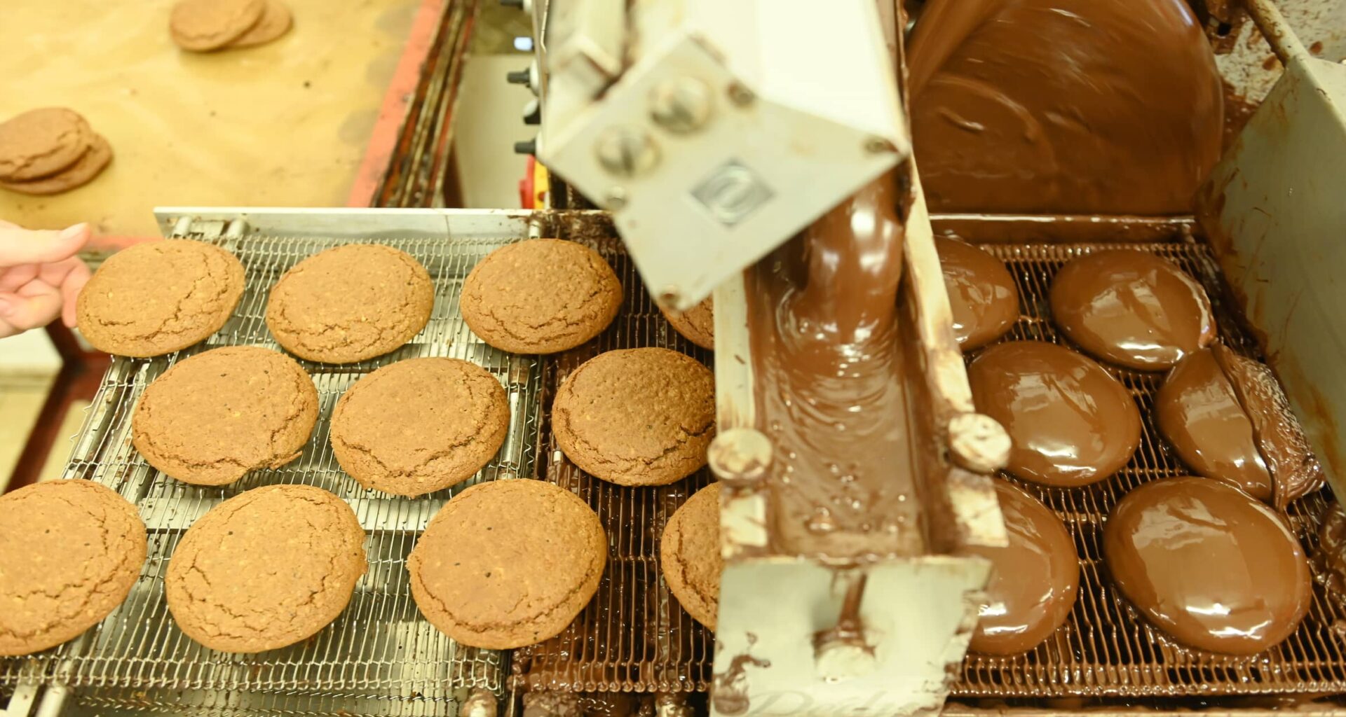 Nürnbergs beste Lebkuchen - SZ.de