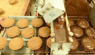 Nürnbergs beste Lebkuchen - SZ.de