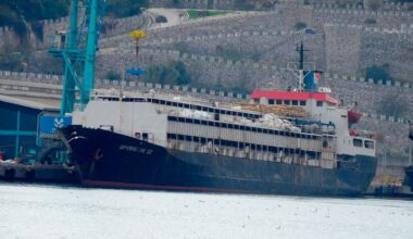 Drama auf See: 2900 Rinder sitzen seit Wochen auf Frachtschiff fest | News