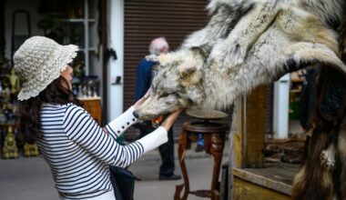 Yahoo news Startseite