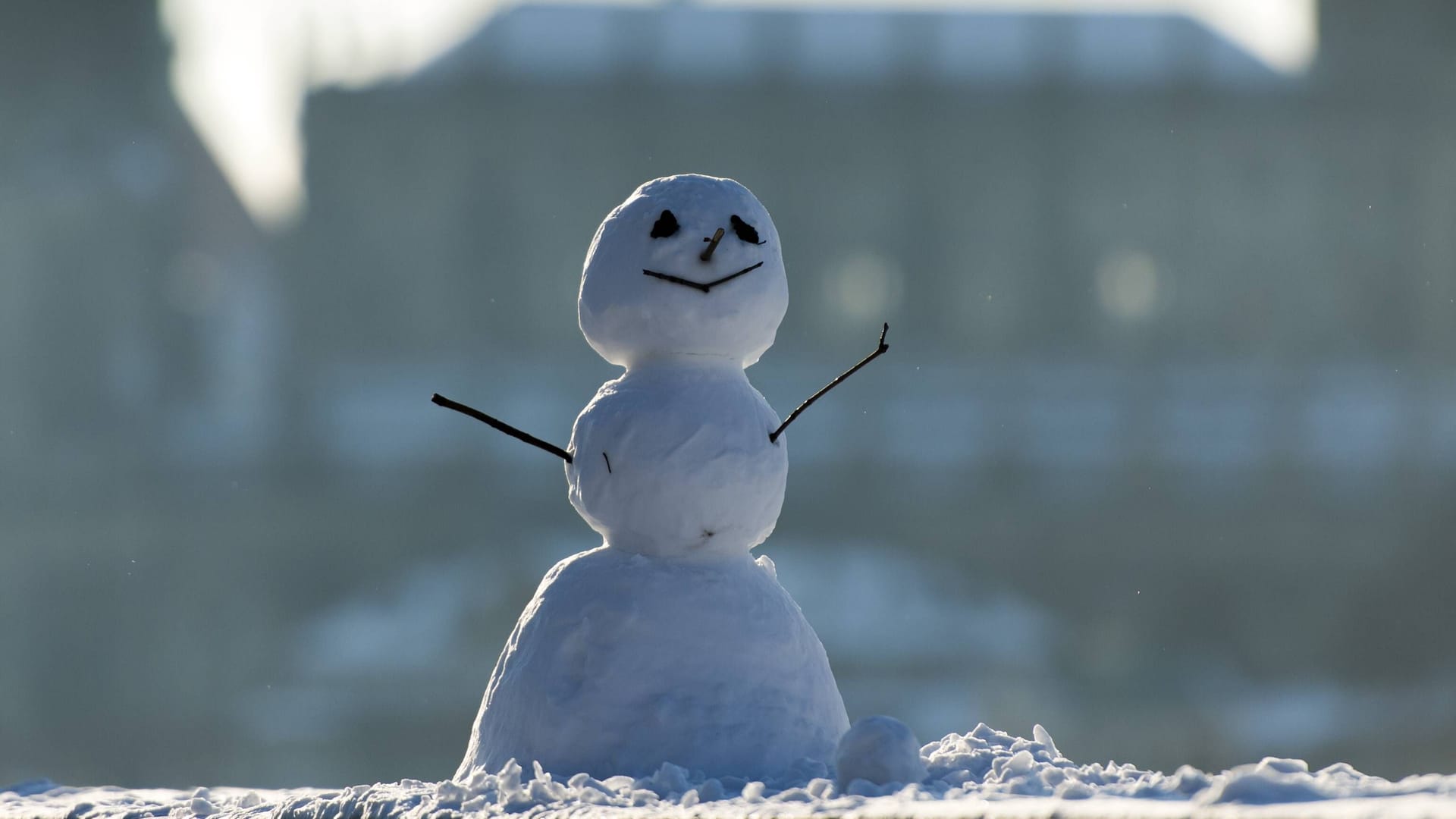 Ein Schneemann am Dresdner Elbufer (Archivbild): Der letzte Schnee zu den Weihnachtsfeiertagen ist schon lange her.