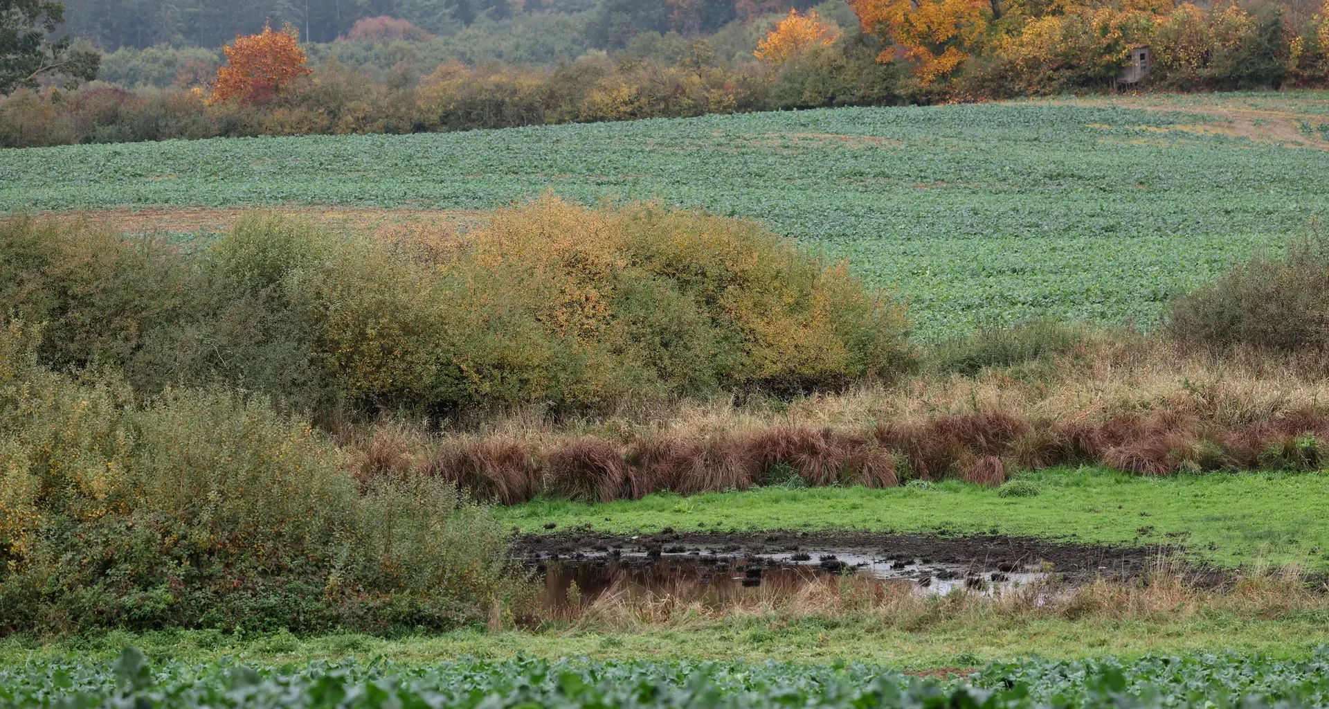 Fabian aus Güstrow wohl schon am Tag seines Verschwindens getötet