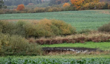 Fabian aus Güstrow wohl schon am Tag seines Verschwindens getötet