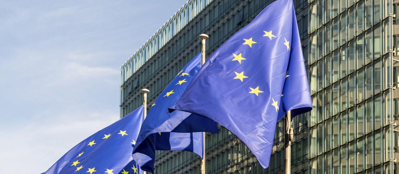 Die Flaggen der Europäischen Union flattern im Wind. | dpa Die Flaggen der Europäischen Union flattern im Wind.